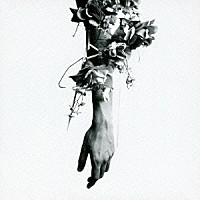 ｍｏｕｓｅ　ｏｎ　ｔｈｅ　ｋｅｙｓ「 ｔｈｅ　ｆｌｏｗｅｒｓ　ｏｆ　ｒｏｍａｎｃｅ」