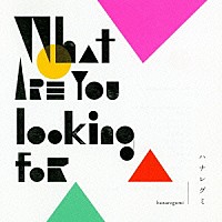 ハナレグミ「 Ｗｈａｔ　ａｒｅ　ｙｏｕ　ｌｏｏｋｉｎｇ　ｆｏｒ」