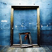ｖｉｓｔｌｉｐ「 ＯＶＥＲＴＵＲＥ」