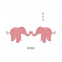 ＲＡＭ　ＷＩＲＥ 「むすぶ」