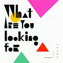 ハナレグミ 「Ｗｈａｔ　ａｒｅ　ｙｏｕ　ｌｏｏｋｉｎｇ　ｆｏｒ」