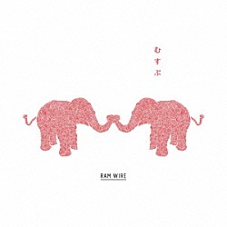 ＲＡＭ　ＷＩＲＥ「むすぶ」