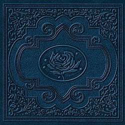 ライアン・アダムス＆ザ・カーディナルズ「コールド・ローゼズ」