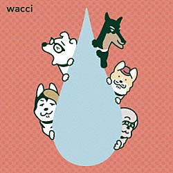 ｗａｃｃｉ「大丈夫」