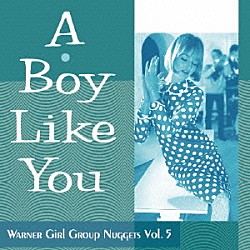 （Ｖ．Ａ．） ロネッツ シェリー・フェブレー バリー・シスターズ ガールフレンズ トニ・ワイン アール・ジーン ジャッキー＆ザ・レインドロップス「ア・ボーイ・ライク・ユー～ワーナー・ガール・グループ・ナゲッツ　Ｖｏｌ．５」