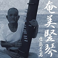 盛島貴男「 奄美竪琴」