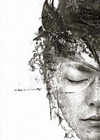 櫻井敦司「 愛の惑星　－Ｃｏｌｌｅｃｔｏｒ’ｓ　Ｂｏｘ－」