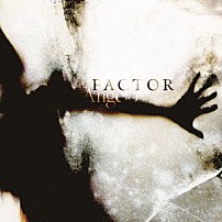 Ａｎｇｅｌｏ 「ＦＡＣＴＯＲ」