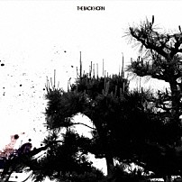 ＴＨＥ　ＢＡＣＫ　ＨＯＲＮ 「悪人／その先へ」