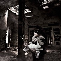 ＴＨＥ　ＭＯＲＴＡＬ 「Ｓｐｉｒｉｔ」