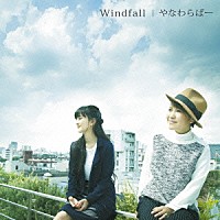 やなわらばー「 Ｗｉｎｄｆａｌｌ」