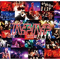 大阪☆春夏秋冬 「ハチハチＬＩＶＥ！！」