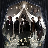 Ｒａｙｆｌｏｗｅｒ 「Ｃｏｌｏｒ　＆　Ｐｌａｙ」