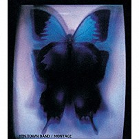 ＹＥＮ　ＴＯＷＮ　ＢＡＮＤ 「ＭＯＮＴＡＧＥ」