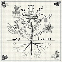 ｎａｎｏ．ＲＩＰＥ 「ライムツリー」