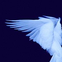 初恋の嵐 「セカンド」