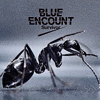 ＢＬＵＥ　ＥＮＣＯＵＮＴ「 Ｓｕｒｖｉｖｏｒ」