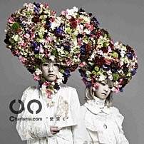 Ｃｈａｒｉｓｍａ．ｃｏｍ 「愛泥Ｃ」