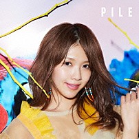 Ｐｉｌｅ 「ＰＩＬＥ」