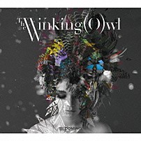 Ｔｈｅ　Ｗｉｎｋｉｎｇ　（Ｏ）ｗｌ 「ＢＬＯＯＭＩＮＧ」
