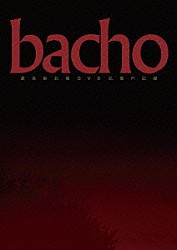 ｂａｃｈｏ「最高新記憶ＤＶＤ　～記憶の記録～」