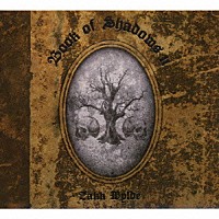 ザック・ワイルド「 ブック・オブ・シャドウズⅡ」