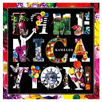 カメレオ 「ＫＡＭＥＮＩＣＡＴＩＯＮ！」