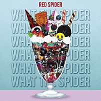ＲＥＤ　ＳＰＩＤＥＲ 「ＷＨＡＴ　ＴＨＥ　ＳＰＩＤＥＲ」
