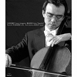 藤森亮一　カール＝アンドレアス・コリー「シューベルト：アルペジョーネ・ソナタ」