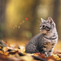 （クラシック）「 まるごと！秋　－Ａｕｔｕｍｎ－」