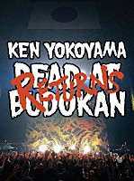 Ｋｅｎ　Ｙｏｋｏｙａｍａ「 ＤＥＡＤ　ＡＴ　ＢＵＤＯＫＡＮ　ＲＥＴＵＲＮＳ」