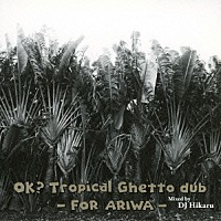 ＤＪ　ＨＩＫＡＲＵ「 ＯＫ？　Ｔｒｏｐｉｃａｌ　Ｇｈｅｔｔｏ　ｄｕｂ　－　ＦＯＲ　ＡＲＩＷＡ　－」
