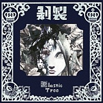 Ｐｌａｓｔｉｃ　Ｔｒｅｅ 「剥製」