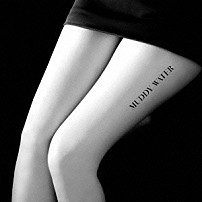 斉藤和義 「マディウォーター」