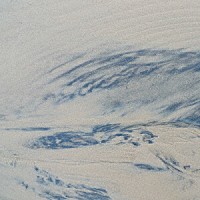 Ｌａｉｋａ　Ｃａｍｅ　Ｂａｃｋ「 Ｃｏｎｆｉｒｍｓ」