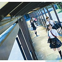 欅坂４６「 世界には愛しかない」