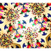 ＦＬＯＷＥＲ　ＦＬＯＷＥＲ「 宝物」