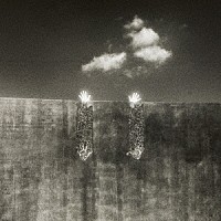 Ｐｌａｓｔｉｃ　Ｔｒｅｅ「 サイレントノイズ」