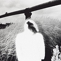 Ｐｌａｓｔｉｃ　Ｔｒｅｅ「 サイレントノイズ」