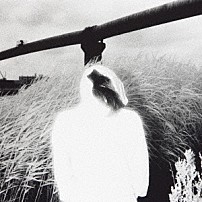 Ｐｌａｓｔｉｃ　Ｔｒｅｅ 「サイレントノイズ」