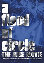 ａ　ｆｌｏｏｄ　ｏｆ　ｃｉｒｃｌｅ「ＴＨＥ　ＢＬＵＥ　ＭＯＶＩＥ　－青く塗れ！－　２０１６．０６．０４　Ｌｉｖｅ　ａｔ　新木場　ＳＴＵＤＩＯ　ＣＯＡＳＴ」