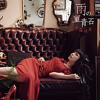 佐藤聡美「 雨の菫青石」