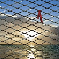 ＢＥＧＩＮ「 網にも掛からん別れ話」