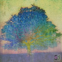 エリック・ジョンソン「 ＥＪ」