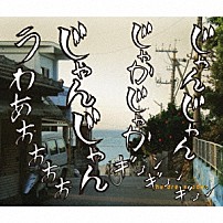 ｔｈｅ　ｄｒｅｓｓｃｏｄｅｓ 「人間ビデオ」