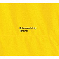 ＤＯＢＥＲＭＡＮ　ＩＮＦＩＮＩＴＹ 「ＴＥＲＭＩＮＡＬ」