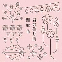 関取花 「君の住む街」