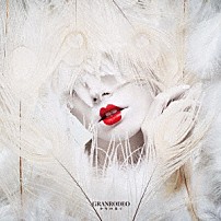 ＧＲＡＮＲＯＤＥＯ 「少年の果て」