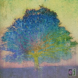 エリック・ジョンソン「ＥＪ」