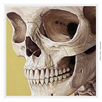 石野卓球 「ＥＵＱＩＴＡＮＵＬ」